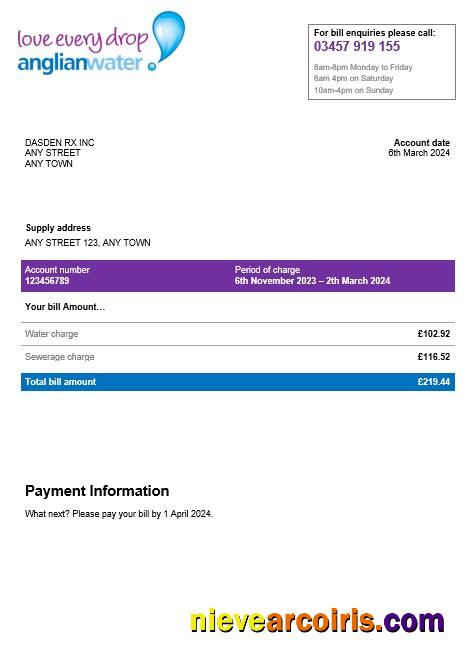 USA Anglian water business utility bill